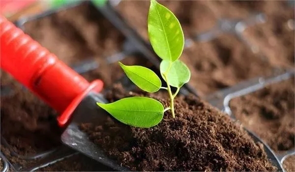 土壤墑情環境監測/檢測的過程是什么樣的