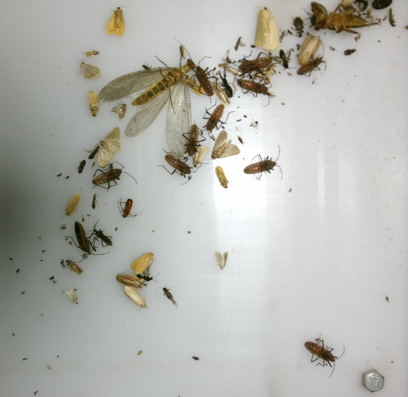 智慧農業墑情苗情病蟲情及災情監測預警系統